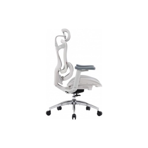 Офісне крісло Sihoo DORO C300L Mesh White (DORO-C300L-A3-102)