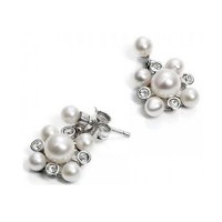 Сережки Viceroy 1105E000-60