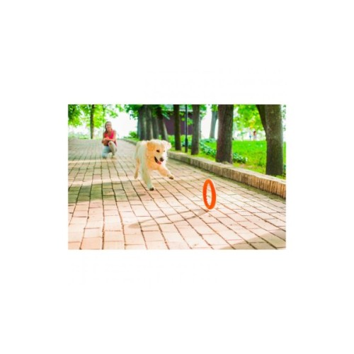 Іграшка для собак Collar PitchDog Кільце для апортування 17 см помаранчеве (62364)