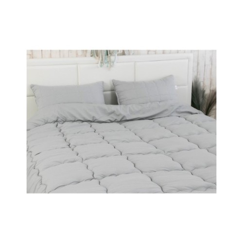 Ковдра Руно силіконізованим волокном 200х220 (322.52_Soft Line)