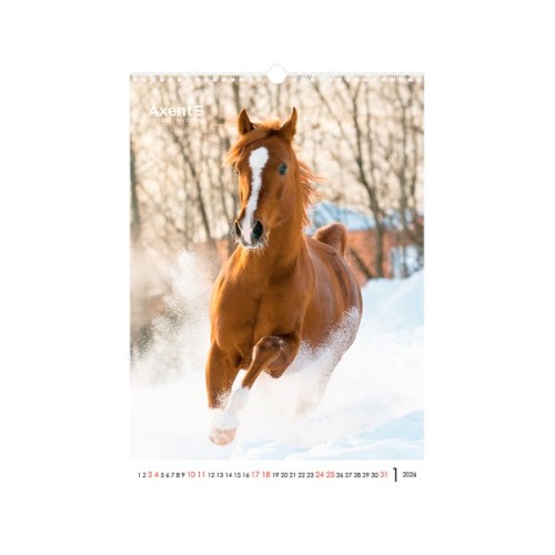 Календар Axent настінний А3 2026 р. Horses (8804-26-3-A)