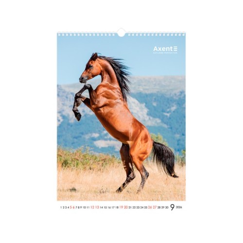 Календар Axent настінний А3 2026 р. Horses (8804-26-3-A)
