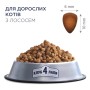 Сухий корм для кішок Club 4 Paws Преміум з лососем 900 г (4820269144729)