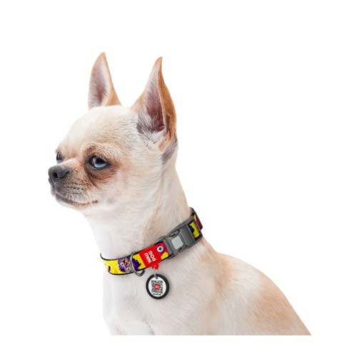 Нашийник для тварин WAUDOG Nylon з QR паспортом "Мохнаті монстри" пластиковий фастекс XL (283-4050)