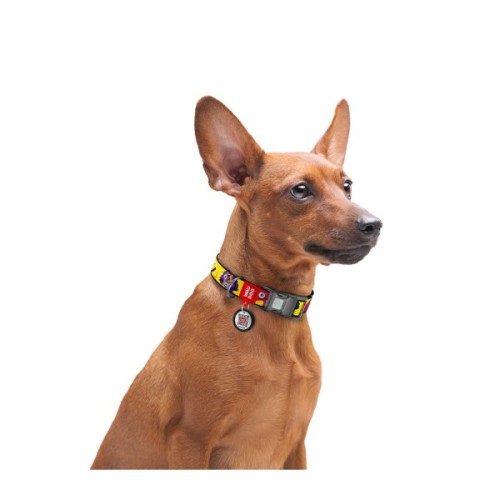 Нашийник для тварин WAUDOG Nylon з QR паспортом "Мохнаті монстри" пластиковий фастекс XL (283-4050)