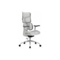 Офісне крісло Sihoo DORO S100 Mesh White (S100-M302)