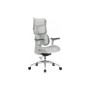 Офісне крісло Sihoo DORO S100 Mesh White (S100-M302)