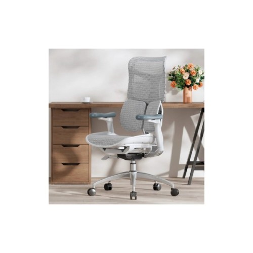 Офісне крісло Sihoo DORO S100 Mesh White (S100-M302)