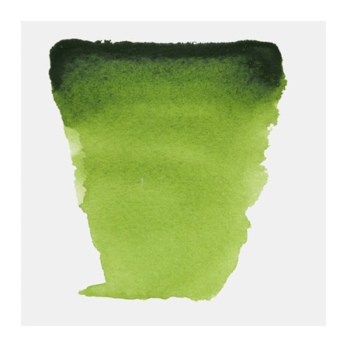 Акварельні фарби Royal Talens Van Gogh (623), Соковитий зелений, кювета (8712079419448)