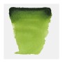 Акварельні фарби Royal Talens Van Gogh (623), Соковитий зелений, кювета (8712079419448)