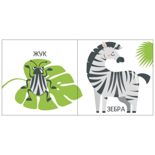 Книга Яскравий світ. Розміри Ранок (9789667511470)