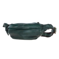Сумка Ashwood D102 Green