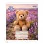 Зошит 1 вересня Bear stories А5 18 аркушів лінія (768973)