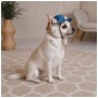 Кепка для тварин Pet Fashion Stars М (4823082446148)