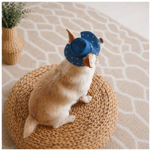 Кепка для тварин Pet Fashion Stars М (4823082446148)