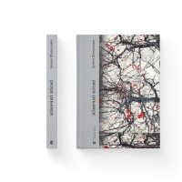 Книга Кінечні пісні - Ірина Шувалова Видавництво Старого Лева (9789664482964)