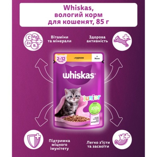 Вологий корм для кішок Whiskas Kitten Курка в желе 85 г (5900951302152/5900951302138)