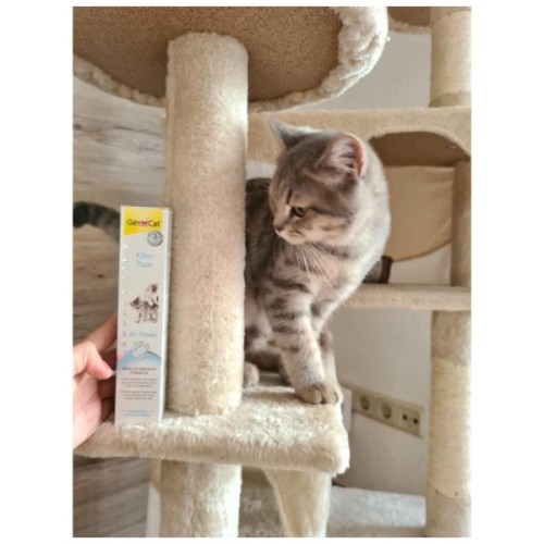 Паста для тварин GimCat Expert Line Kitten вітамінізована 50 г (4002064920191)