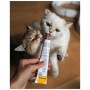 Паста для тварин GimCat Expert Line Kitten вітамінізована 50 г (4002064920191)