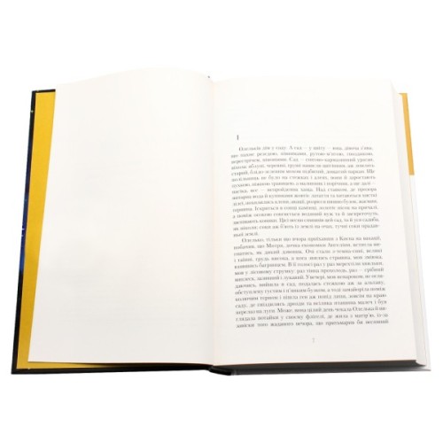 Книга Сузіря лебедя - Юрій Косач А-ба-ба-га-ла-ма-га (9786175851289)