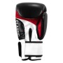 Боксерські рукавички Title Classic Leather 2.0 Black/White/Red XL 16 oz (CSBGL2 X BK/WH/RD)