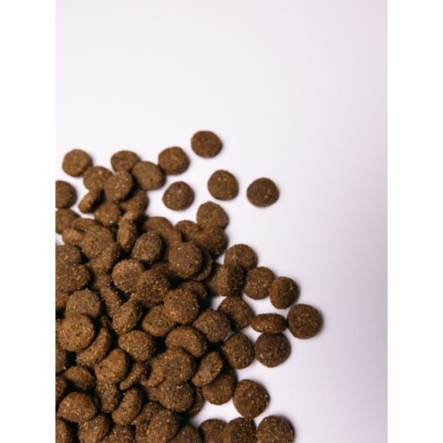 Сухий корм для собак Savory Junior Large rich in Fresh Turkey and Chicken 12 кг (4820232630211)