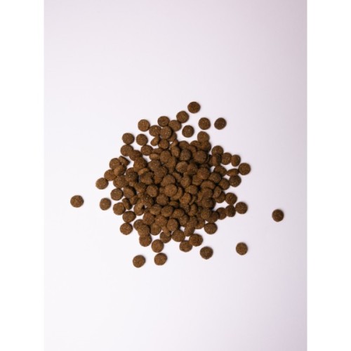 Сухий корм для собак Savory Junior Large rich in Fresh Turkey and Chicken 12 кг (4820232630211)