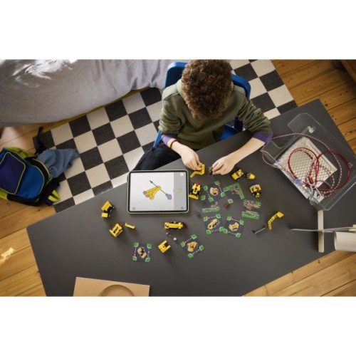 Конструктор LEGO Technic Потужні машини (42233)