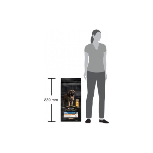 Сухий корм для собак Purina Pro Plan Dog Large Adult Robust з куркою 14 кг (7613035120426)