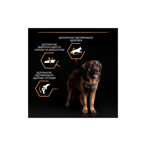 Сухий корм для собак Purina Pro Plan Dog Large Adult Robust з куркою 14 кг (7613035120426)