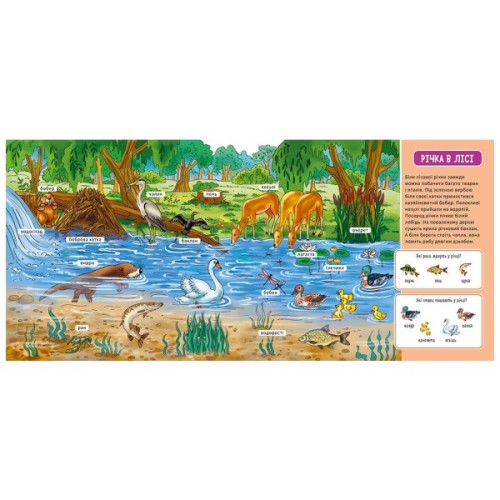 Книга У лісі. Мій перший словничок Ранок (9789667510749)