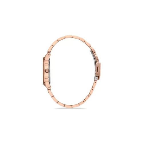 Наручний годинник Ferro F21928A-C