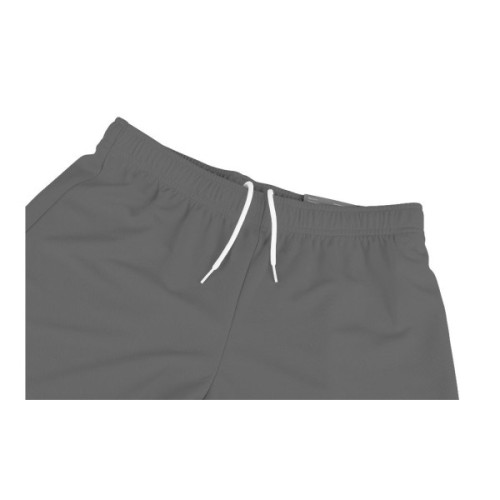 Шорти Puma teamRISE Short 704942-13 сірий XL (4063699212075)