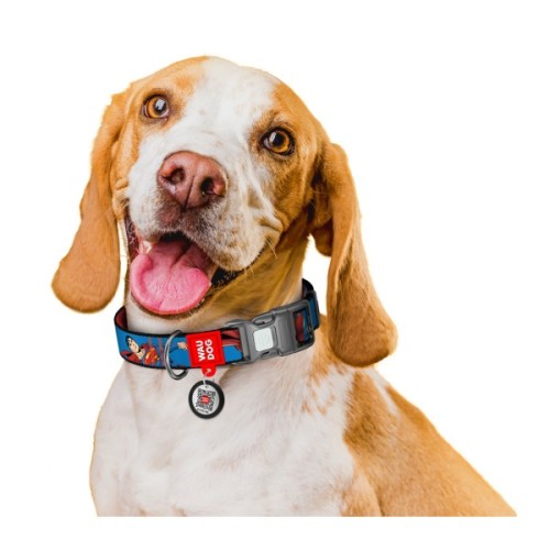 Нашийник для тварин WAUDOG Nylon з QR паспортом "Сила Супермена", пластиковий фастекс, M (281-1079)