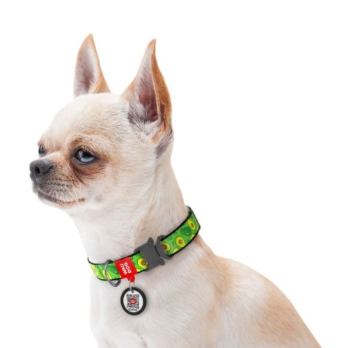 Нашийник для тварин WAUDOG Nylon "Авокадо" металічна пряжка-фастекс L (5144)