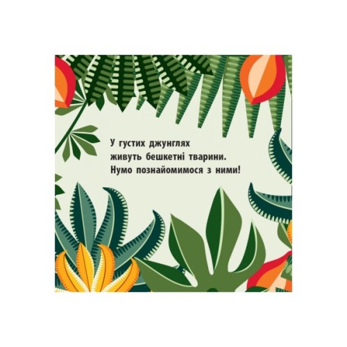 Книга Команда джунглів - Мадлєн Роджерс Ранок (9789667490119)