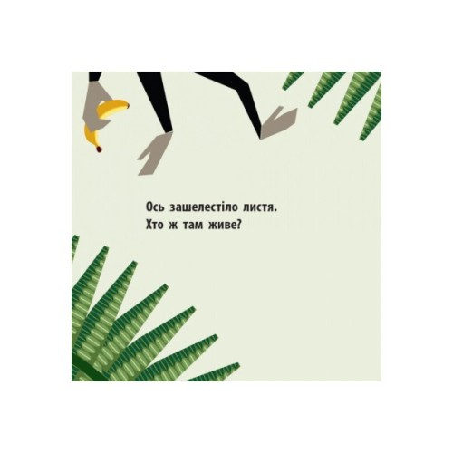 Книга Команда джунглів - Мадлєн Роджерс Ранок (9789667490119)