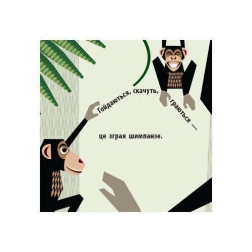 Книга Команда джунглів - Мадлєн Роджерс Ранок (9789667490119)