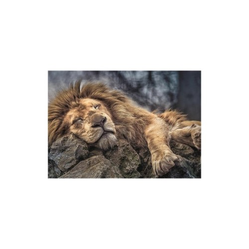 Пазл Trefl Сплячий лев 1000 елементів (5900511104479)