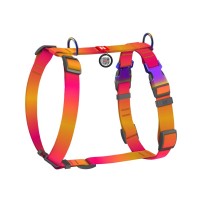 Шлея для собак WAUDOG Nylon Recycled анатомічна H-подібна з QR паспортом, градієнт, M помаранчева (52874)