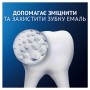 Зубна паста Oral-B Pro-Science Відновлення емалі Щоденний захист 75 мл (8001090247544)