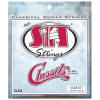 Струни для гітари SIT Strings SCM101 (30-40) (226930)