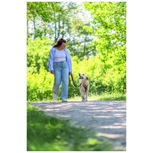 Повідець для собак Trixie Cavo регульований S–M 2 м діаметр 12 мм рижий-графітовий (4053032677890)