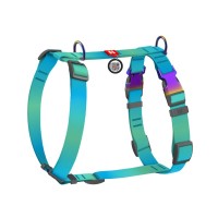 Шлея для собак WAUDOG Nylon Recycled анатомічна H-подібна з QR-паспортом, градієнт, S блакитна (52862)