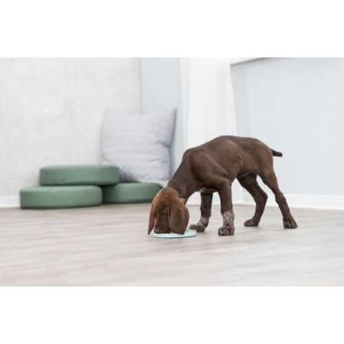 Посуд для собак Trixie Миска «Junior» для повільного годування 15 см (м'ятний) (4011905349541)