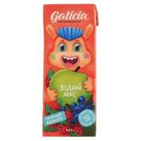 Сік дитячий Galicia Ягідний з м'якоттю із суміші плодів 200 мл (4820209563542)