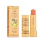 Бальзам для губ L'Erbolario Lucidalabbra Vitaminico вітамінний блиск 4.5 мл (8022328101391)