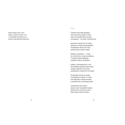 Книга Схима. Том 1 - Василь Махно Видавництво Старого Лева (9789664483145)