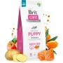 Сухий корм для собак Brit Care Dog Grain-free Puppy з лососем 1 кг (8595602558827)