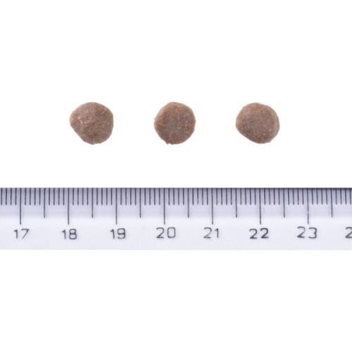 Сухий корм для собак Brit Care Dog Grain-free Puppy з лососем 1 кг (8595602558827)